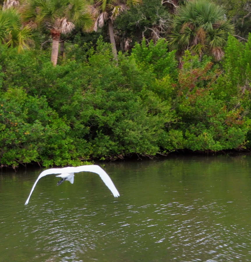 20191106103154_img_0972