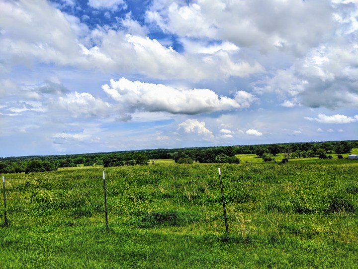 Goodbye May 2020, Don’t Forget to Take Your Germy Germs With&nbsp;You!